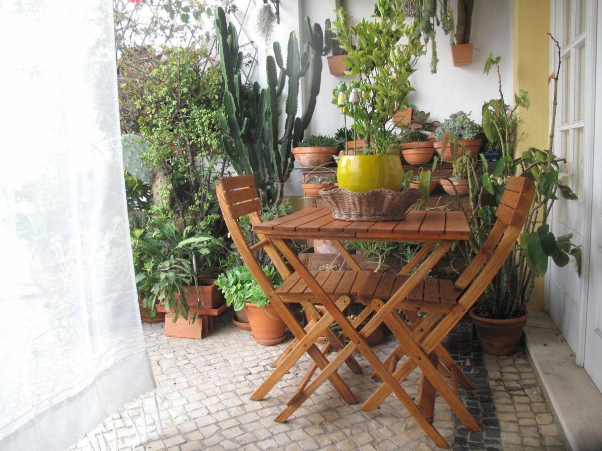 Casa Dos Cactos Hotel Vila Nova de Milfontes Bagian luar foto