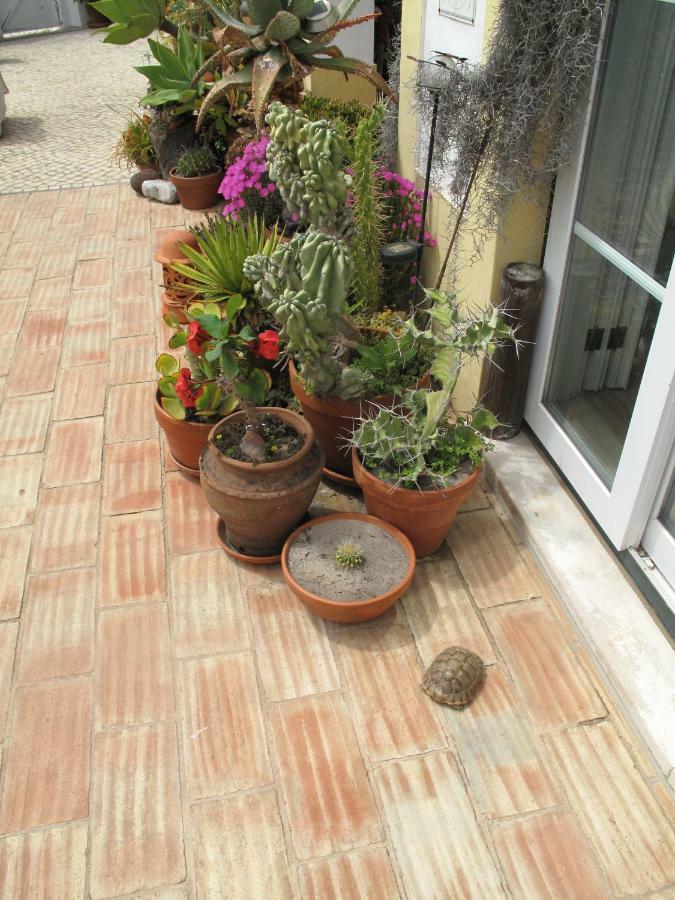 Casa Dos Cactos Hotel Vila Nova de Milfontes Bagian luar foto